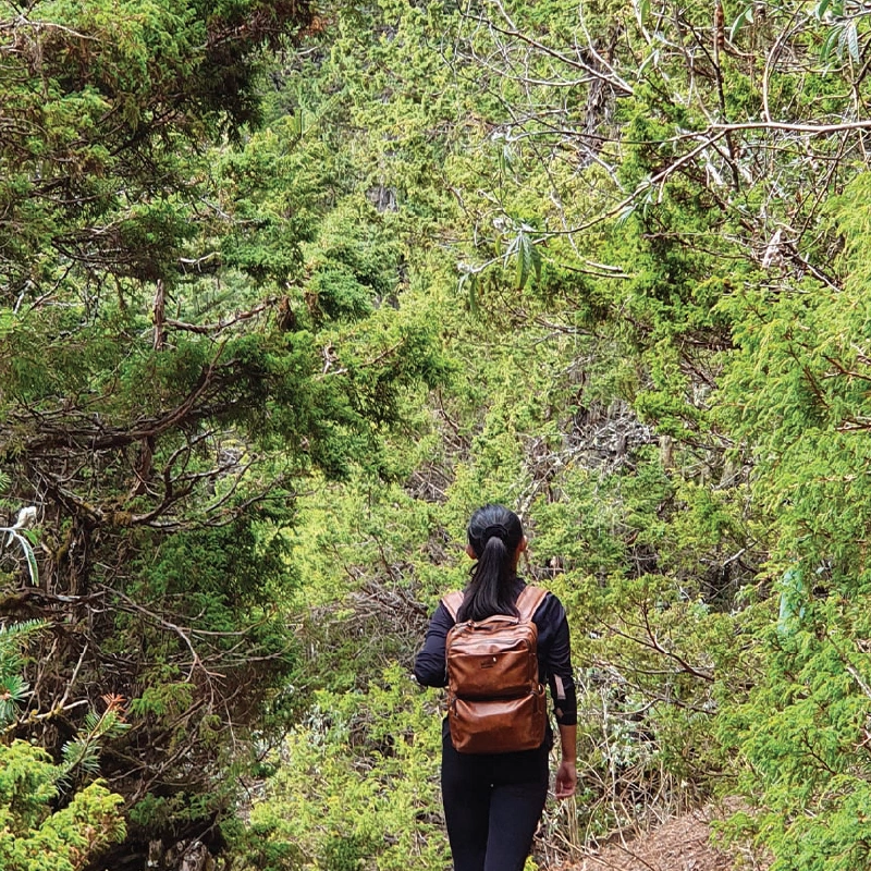 treeking images-04